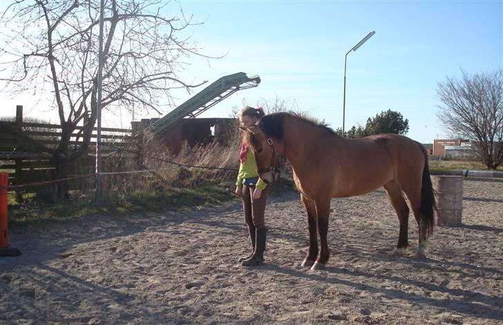 Anden særlig race Flicka - Hygge ude på ridebanen.
D. 15/4 - 2010 billede 16