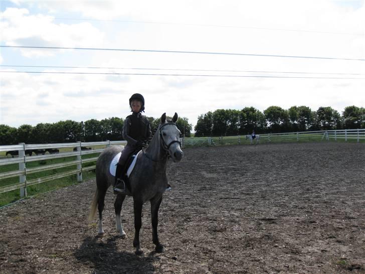 Welsh Pony (sec B) Vongkærgårds Annabell - Første stævne! LD1 billede 5