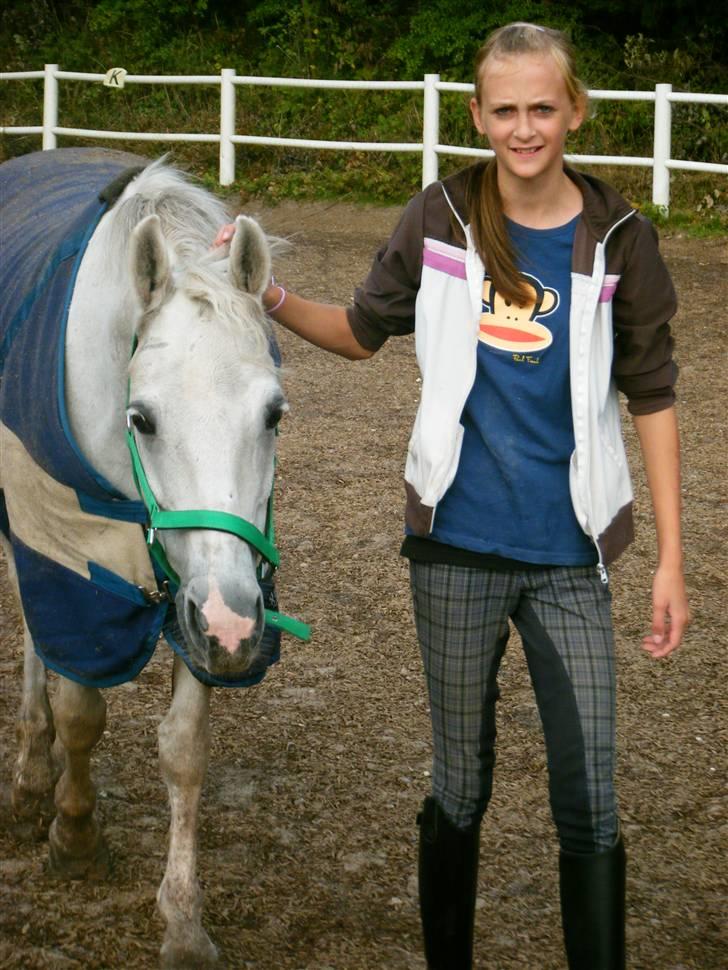 Hollandsk Sportspony Bayard Sander  SOLGT - Sander og Sofie hygge på ridebanen. September 2009. billede 19