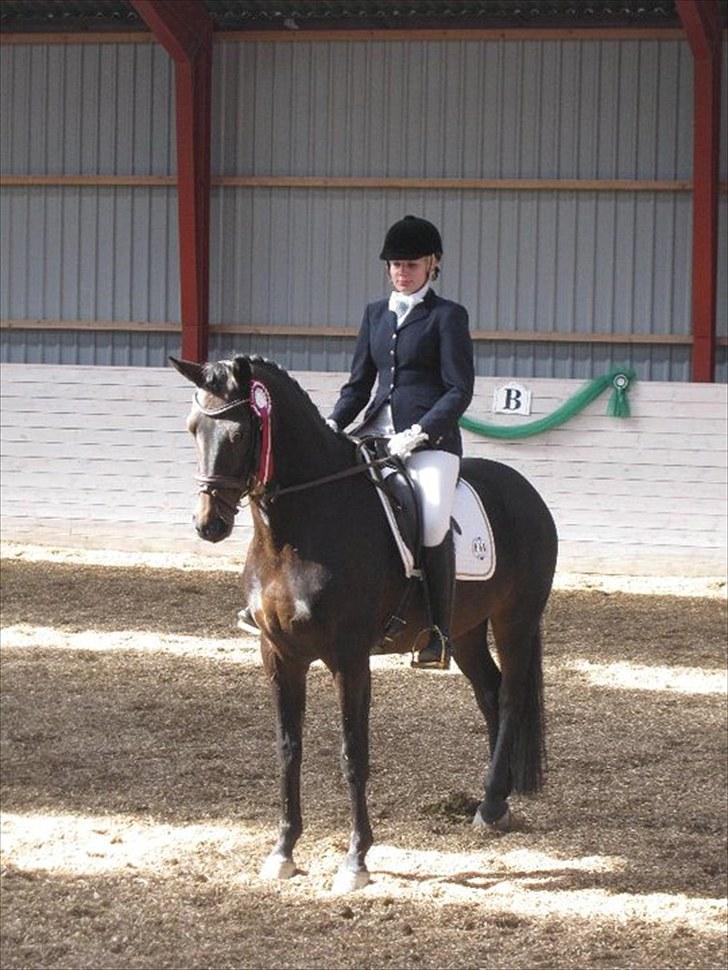 Dansk Varmblod Heartbreakers Touchy - Nummer 5 til Sjællands Mester skab 2010!!! billede 6