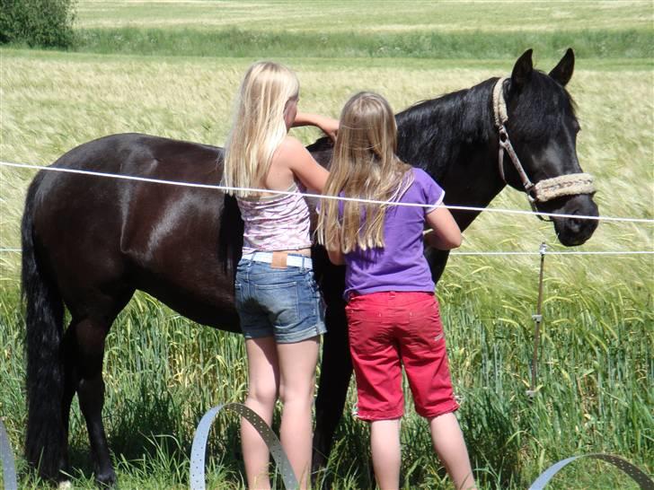 Anden særlig race Dina * Solgt * - mig dina og lillesøster hygger totalt en varm sommer dag<33 hygge  billede 12