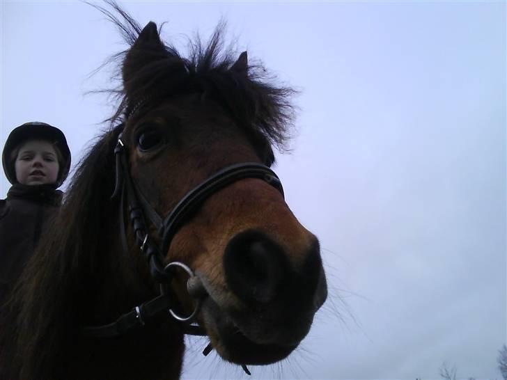 Anden særlig race Rosa R.I.P.<333Miss you † - (2)
fordi du er skide dejlig<33333
Foto: Mig billede 2