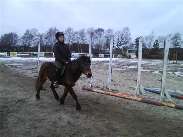Anden særlig race Rosa R.I.P.<333Miss you † - (5) 
fordi du var så dejlig!
Foto: Mig billede 5