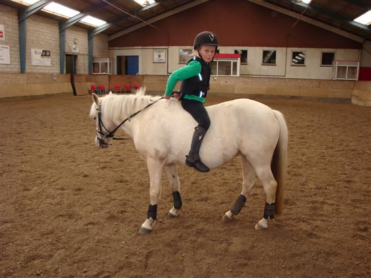 Palomino Lady { solgt:'( } - Hov - jeg vender da vist forkert :o) billede 7
