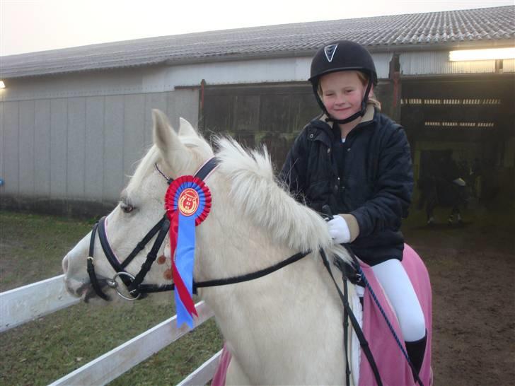 Palomino Lady { solgt:'( } - Fin fejlfri runde:) billede 9