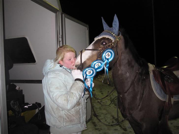 Anden særlig race Indy(solgt) - stævne sløjfe 80 og 90 ballerup billede 5