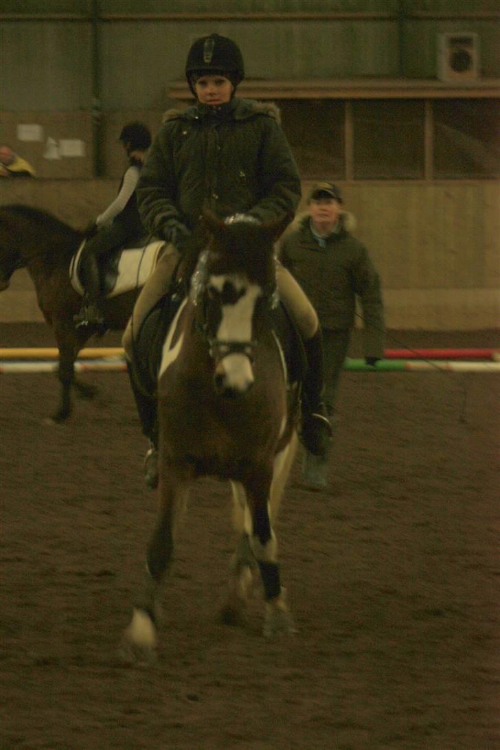 Anden særlig race Brahsal´s Power billede 19