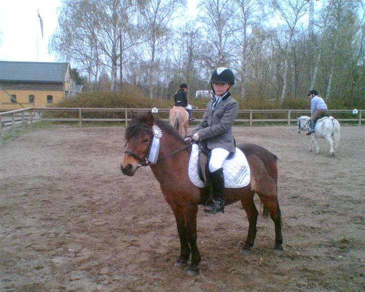Anden særlig race Rosa R.I.P.<333Miss you † - (14)
fordi du gav mig en sløjfe med hjem til vores første springstævne:')
Foto: Mor billede 14