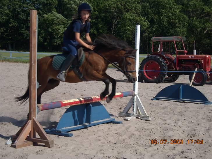 Anden særlig race Rosa R.I.P.<333Miss you † - (16) 
fordi du elskede det af hele dit hjerte!
Foto: Mor billede 16