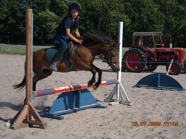 Anden særlig race Rosa R.I.P.<333Miss you † - (16) 
fordi du elskede det af hele dit hjerte!
Foto: Mor billede 16