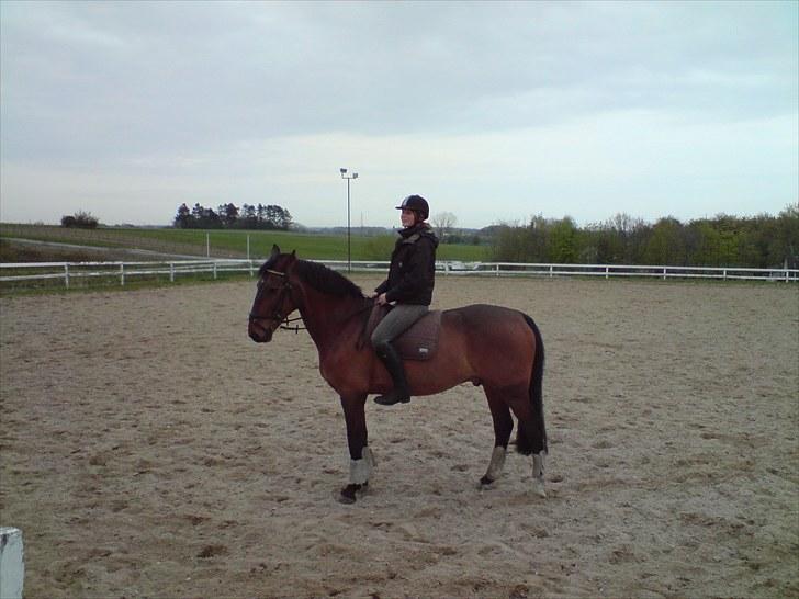 Oldenborg Vladimir - blev taget lige inden jeg blev smidt af. billede 12