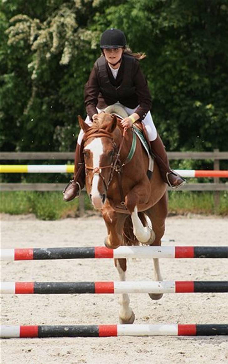 Anden særlig race Lex R.I.P - første spring stævne.. 2009  Foto: Siff billede 5