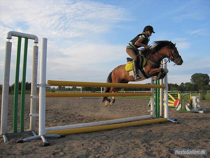 {{currentPhoto.altText}} billede {{currentPhoto.number}}