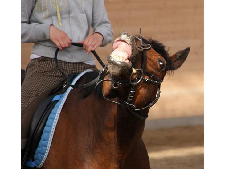 {{currentPhoto.altText}} billede {{currentPhoto.number}}