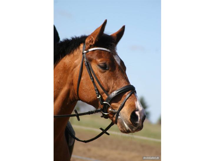 {{currentPhoto.altText}} billede {{currentPhoto.number}}