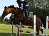 Dansk Varmblod Overgaards Minuet [Tidl. hest]