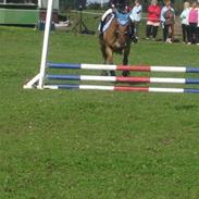 Anden særlig race bayli