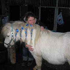 Anden særlig race Lucas