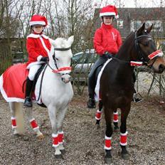 DSP Nørlunds Al Pacino