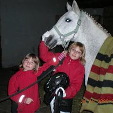 Anden særlig race Line