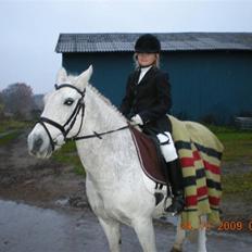 Anden særlig race Line