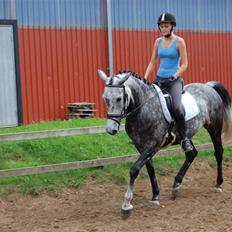 Anden særlig race Delight