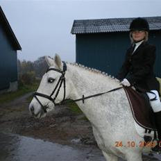 Anden særlig race Line