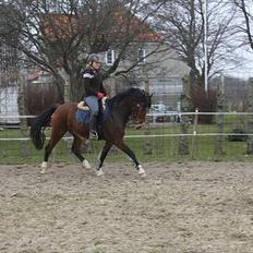 DSP Sir Lancelot - solgt