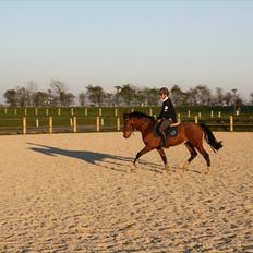 DSP Sir Lancelot - solgt