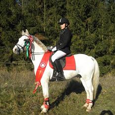 Anden særlig race Whisdom By Jazz [Søsters]