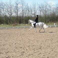 Anden særlig race Whisdom By Jazz [Søsters]