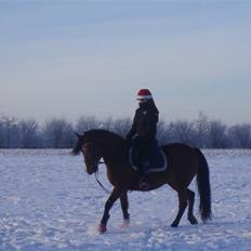 Traver Handmade R.I.P