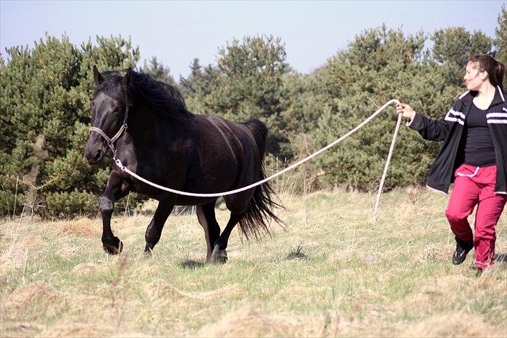 Oldenborg Zoé - Foto// AS billede 13