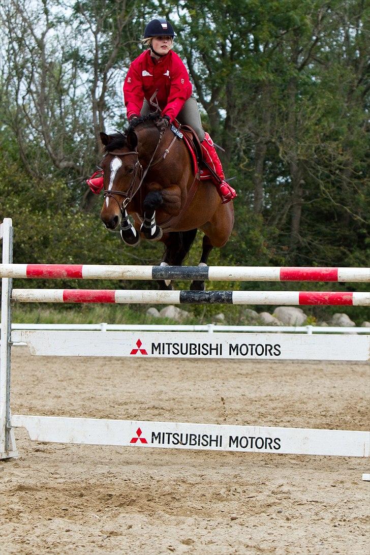 Dansk Varmblod Konstantins Qute Pie - springtræning d. 3/10-10 :) her sprang vi 155cm i oxer :D fotograf: ctfoto :D billede 17