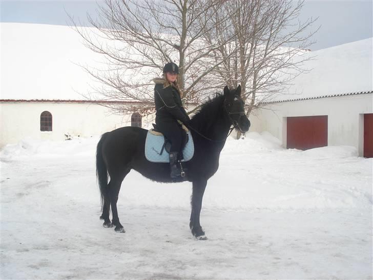 Anden særlig race Moonlight <3 t billede 9