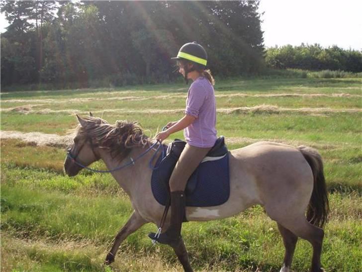 Anden særlig race Sia **solgt** - Så er vi på en dejlig tur :) billede 2