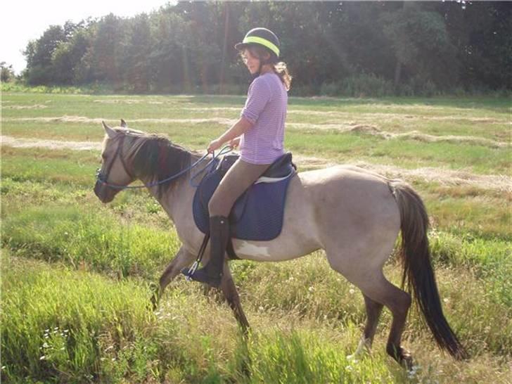 Anden særlig race Sia **solgt** - Tur, tur, tur... billede 5