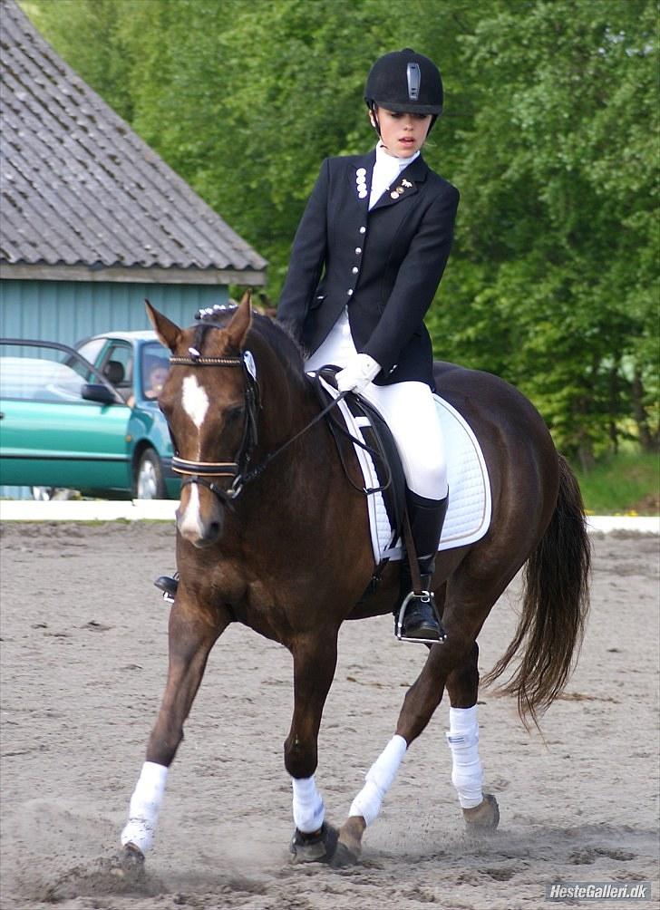 DSP Dutchy M  - stævne i hark i maj foto: ditte(: billede 12
