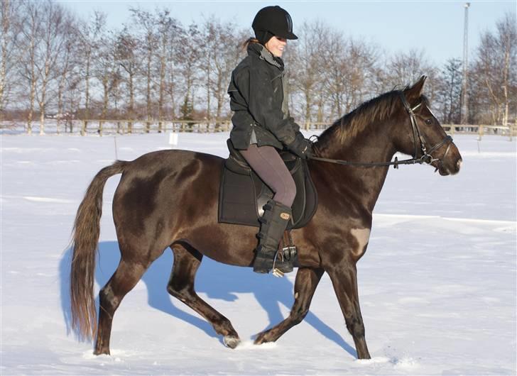DSP Dutchy M  - vinterbillede(: foto: ditte billede 13
