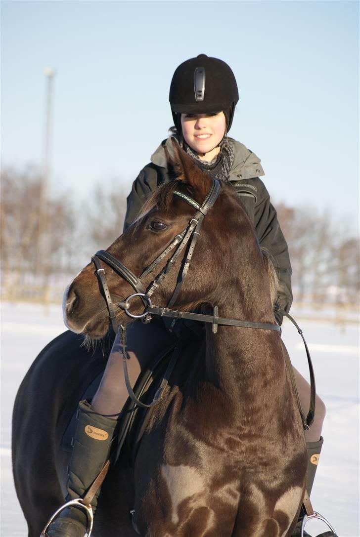 DSP Dutchy M  - vinterbillede(: foto: ditte billede 14