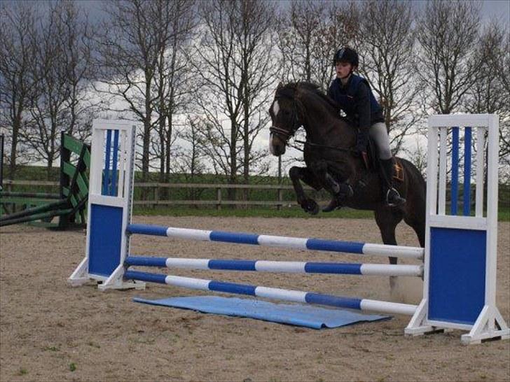 DSP Dutchy M  - spring over vand(: foto: ditte billede 19
