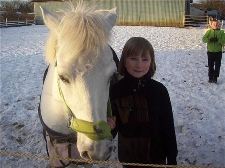 Anden særlig race Bob [SOLGT] D-; - Hygge på fold med Bob.. :D billede 1