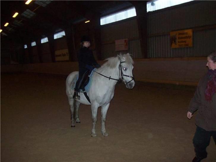 Anden særlig race Bob [SOLGT] D-; - Er ude og ride lidt.. Meget fræk '._. billede 2