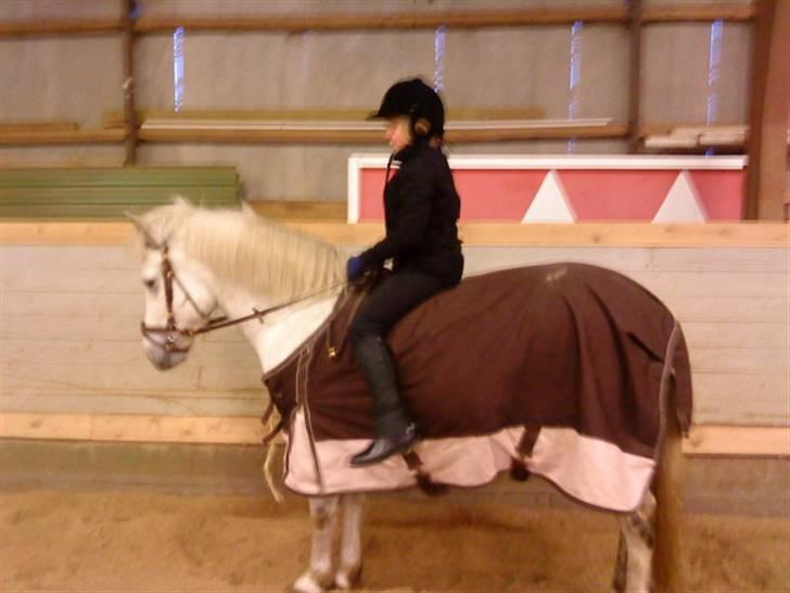 Anden særlig race Bob [SOLGT] D-; - Hygge med Bob :D billede 3