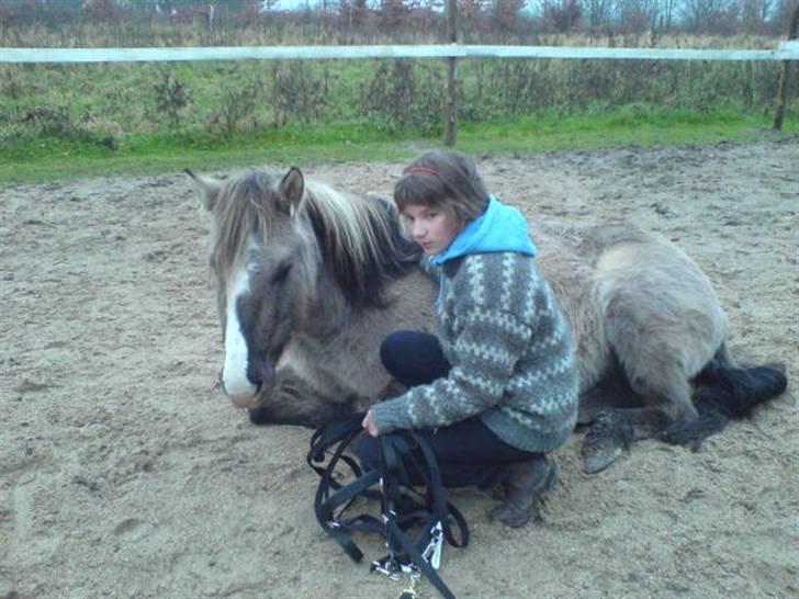 Anden særlig race Sia **solgt** - så det slut med at hvile, for nu ska der trænes :) billede 10
