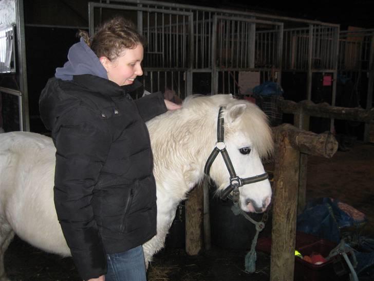 Anden særlig race Lucas billede 2