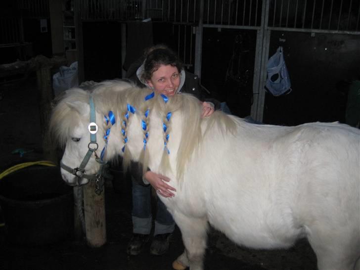 Anden særlig race Lucas - Han er bare dejlig billede 3