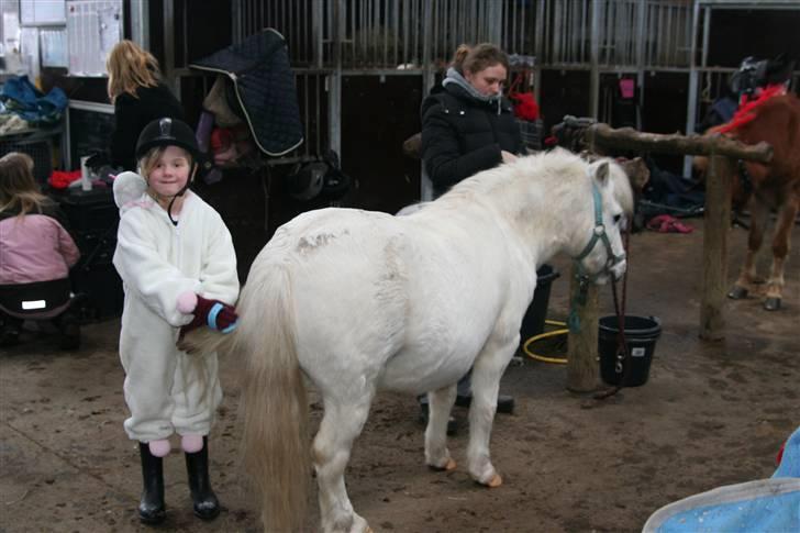 Anden særlig race Lucas - Min bonusdatter strigler billede 4