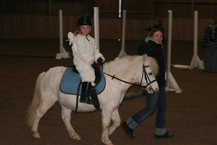 Anden særlig race Lucas billede 6