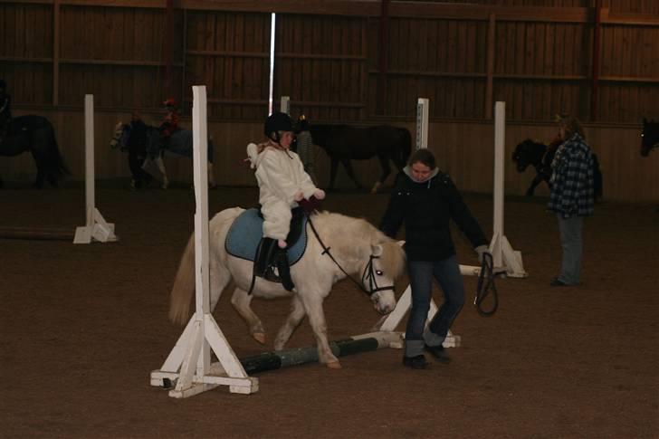 Anden særlig race Lucas - Til fastelavnsstævne billede 7